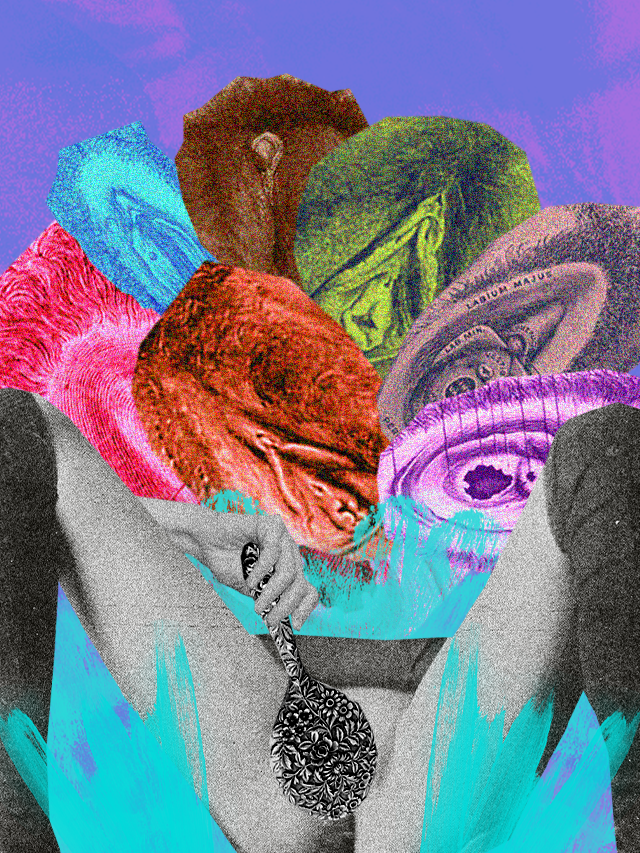 WS-VULVA-640x853