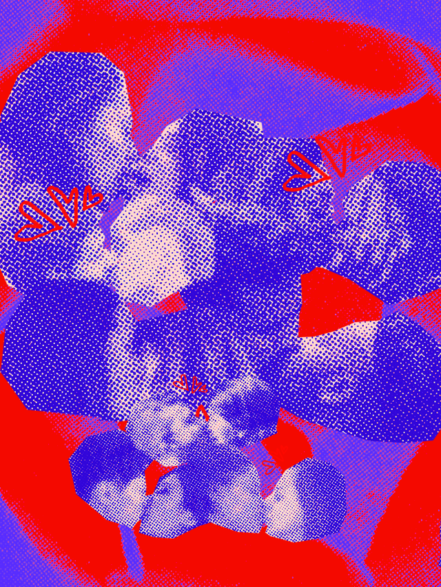 webstories_nao-mono