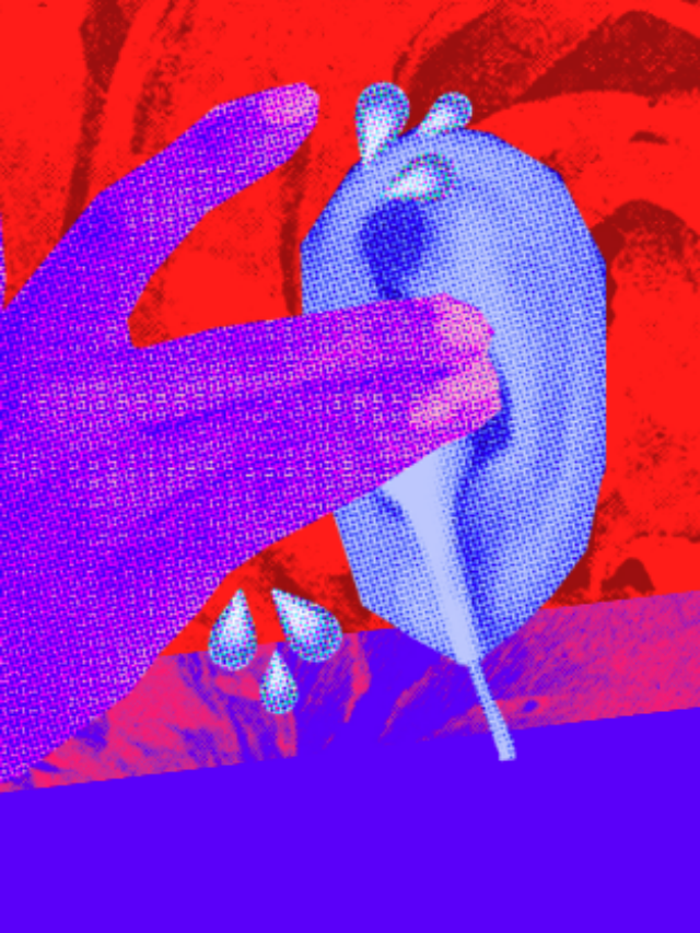 cropped-capa-webstories-exausta.png