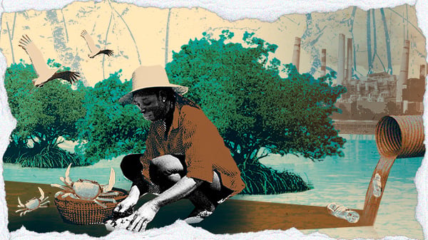 Uma colagem digital mostra o contraste entre natureza e destruição. À esquerda, uma pescadora agacha à beira d’água, cercada por caranguejos e um cesto de palha, ao fundo, manguezais vivos e verdes, à direita, uma tubulação metálica, enferrujada, despeja lixo em um rio azul, deixando a água contaminada. Mais ao fundo, uma fábrica cinza domina o cenário, cuspindo fumaça e poluição.