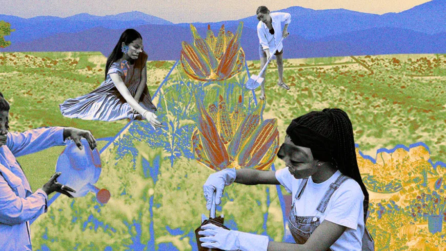 Colagem digital com mulheres em diferentes atividades agrícolas, como regar plantas, cavar a terra e cuidar de flores, em um cenário de campo colorido e estilizado. O fundo revela um campo vasto, com montanhas ao longe e tons quentes e frios se misturando. A composição transmite força e protagonismo feminino no campo.