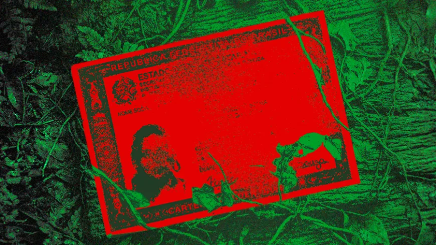A imagem apresenta uma composição gráfica com forte contraste de cores. Ao centro, destaca-se um documento oficial brasileiro — semelhante a uma carteira de identidade — em vermelho intenso. O documento está inclinado e parcialmente coberto por galhos, folhas e elementos naturais. Ao fundo, há um cenário de floresta ou área de mata, em tons escuros e esverdeados, com troncos, raízes e vegetação espalhados pelo chão. A textura é densa e orgânica, sugerindo um ambiente natural, possivelmente amazônico. O documento parece abandonado ou perdido no meio da vegetação, criando uma sensação de deslocamento. Embora os detalhes do texto não sejam totalmente legíveis, é possível reconhecer símbolos oficiais e a estrutura típica de um documento de identificação brasileiro. A combinação do vermelho vibrante com o verde escuro do fundo cria um efeito visual de alerta, tensão ou denúncia. A imagem sugere temas relacionados a identidade, território, invisibilização ou conflito.