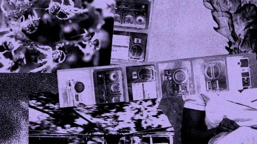 Colagem em tons de roxo reúne fotografias sobrepostas de equipamentos de áudio, como aparelhos de som, caixas e gravadores, além de imagens de flores, árvores e partes do corpo humano. A composição fragmentada mistura elementos tecnológicos, naturais e humanos, criando uma estética de arquivo e memória.