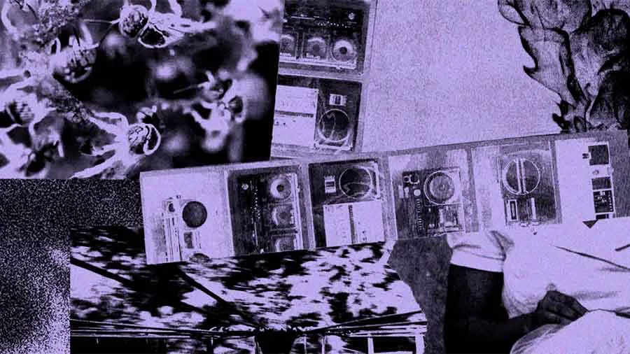 Colagem em tons de roxo reúne fotografias sobrepostas de equipamentos de áudio, como aparelhos de som, caixas e gravadores, além de imagens de flores, árvores e partes do corpo humano. A composição fragmentada mistura elementos tecnológicos, naturais e humanos, criando uma estética de arquivo e memória.